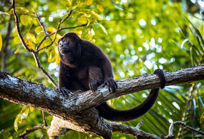 Acclaimed Photographer Jeff Colhoun Chronicles Sustainable Tourism in Costa Rica