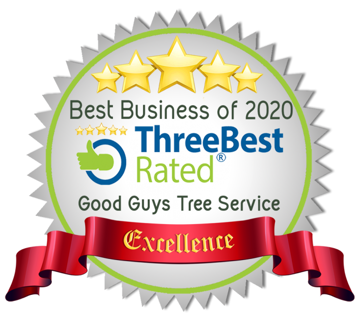 Good Guys Tree Service from Austin wins 2020 ThreeBestRated® award for Best Tree Service