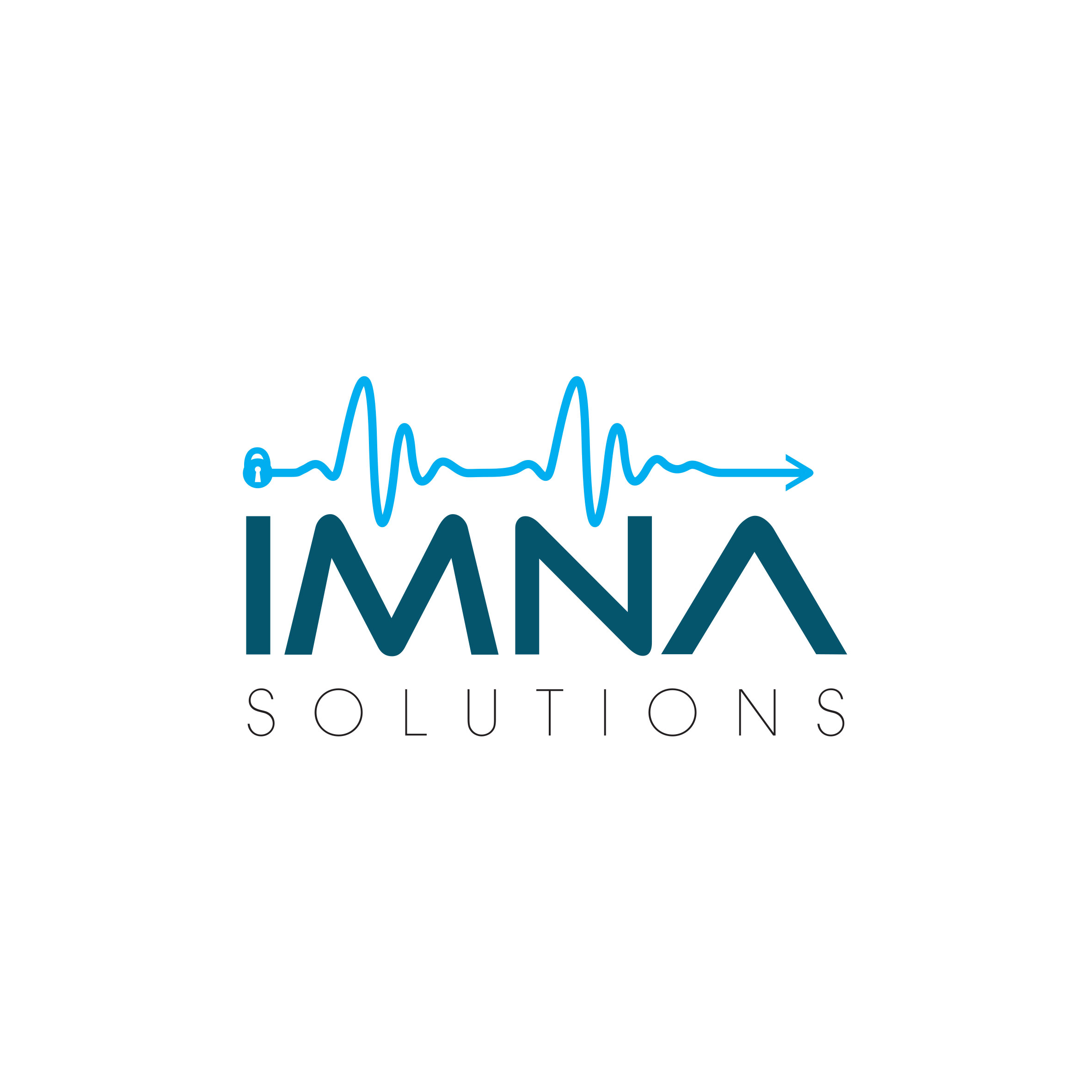 IMNA Solutions logo