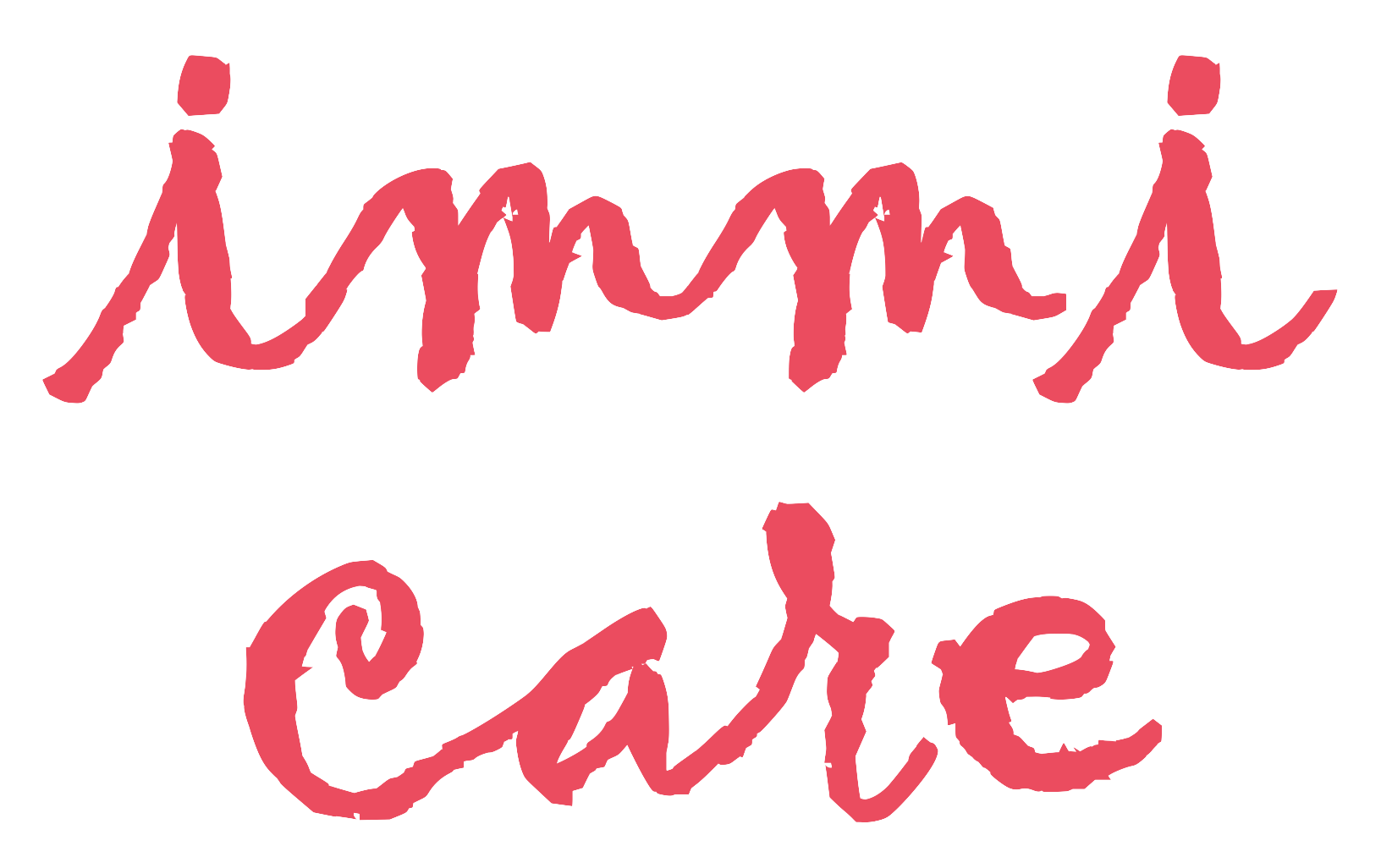 Immi Care logo