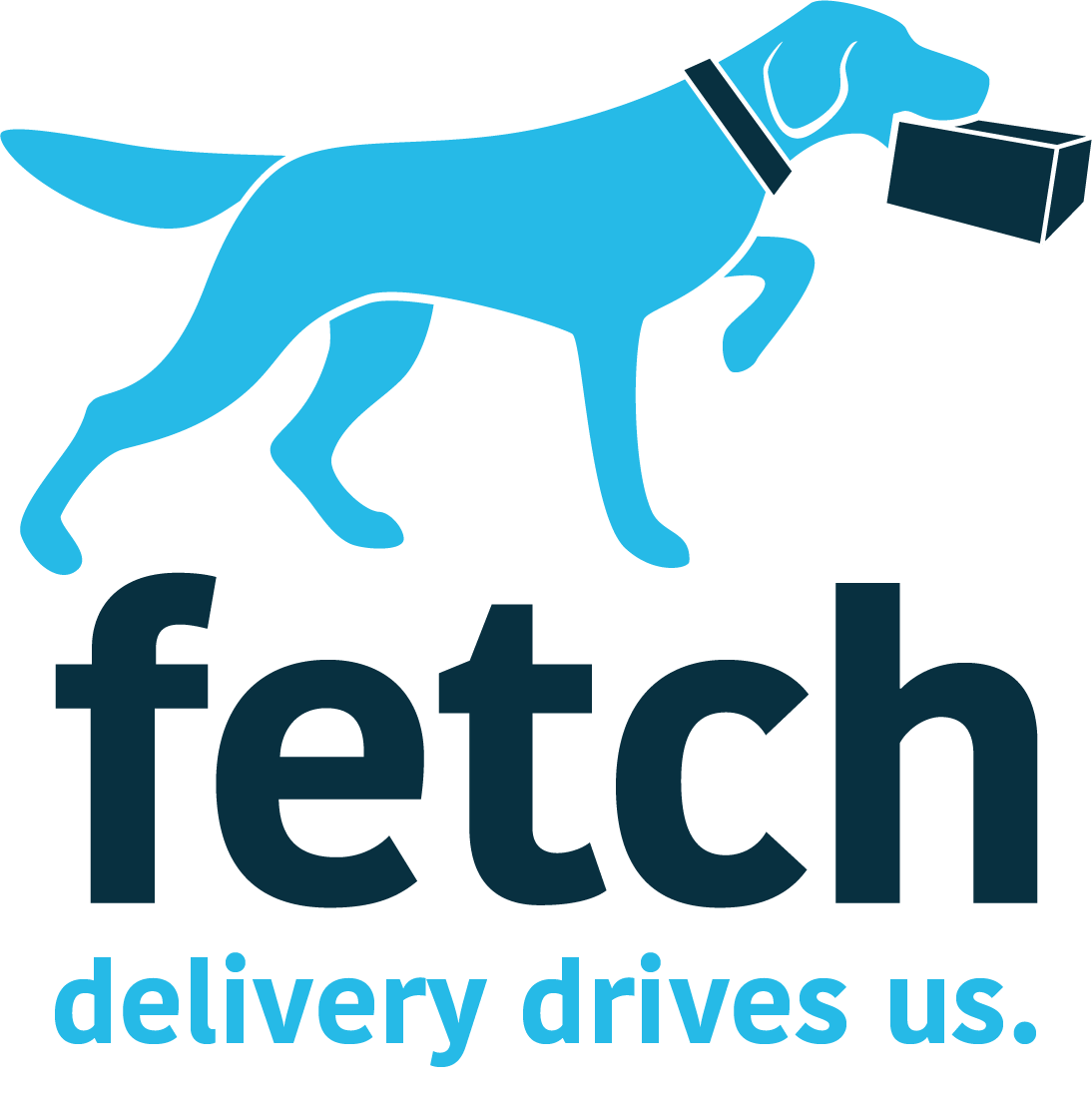 Fetch logo