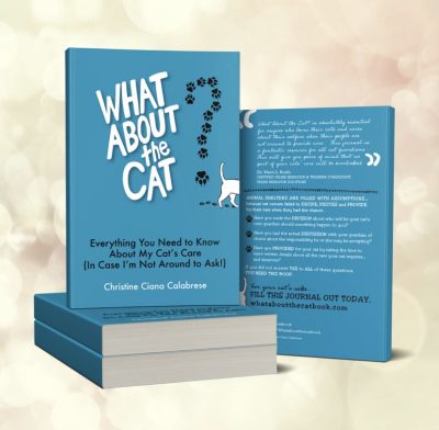 What About The Cat? Saves Cats from Animal Shelters as COVID-19 Continues Hospitalizing Pet Owners