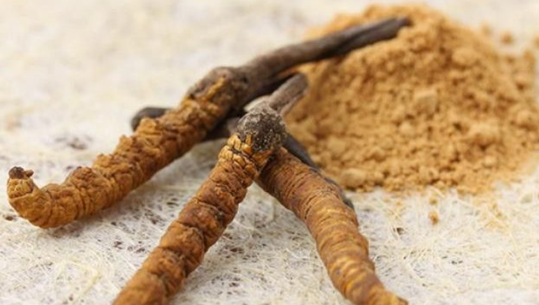 New Website Mushroom Health Guide Highlights the Extraordinary Health Benefits of Medicinal Mushrooms