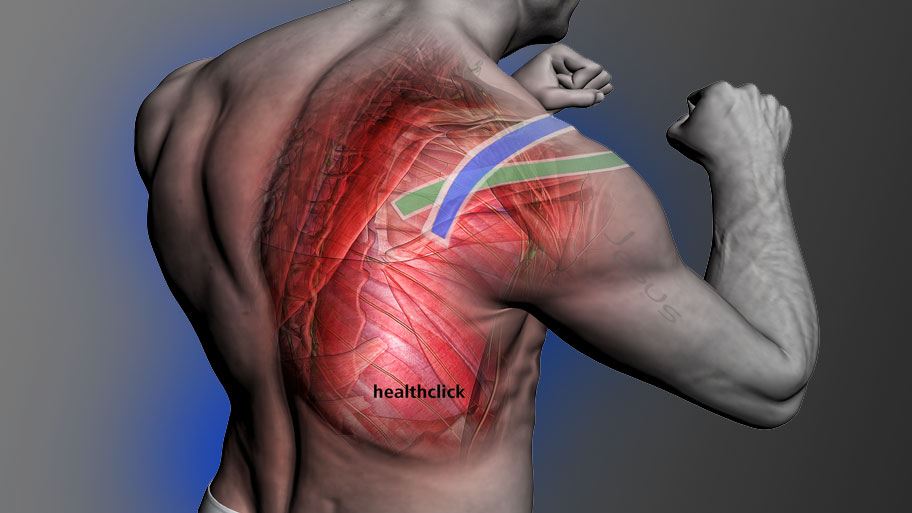Healthclick, a leader in online education, launches a new learning platform to deliver higher quality online continuing education to healthcare professionals.