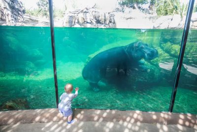 Fort Worth Zoo Becomes First Zoo in Texas to Earn Certified Autism Center™ Designation