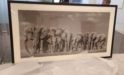 Fine Art Shippers Offers Professional Art Installation Services in New York