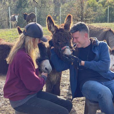 Animal Adoption Center, Oscar’s Place, Rescues Donkeys from Slaughterhouses, Seeking Forever Homes