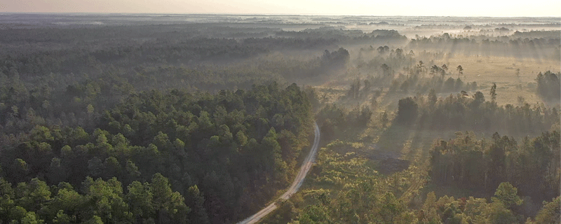Two Timberland Properties Totaling 17,956 Acres Sold to Rayonier for $17.52 Million