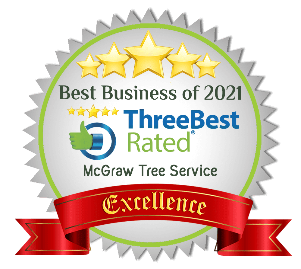 Founder of McGraw Tree Service, a 2021 ThreeBestRated® award-winning tree service, explains the reasons to hire a professional tree service