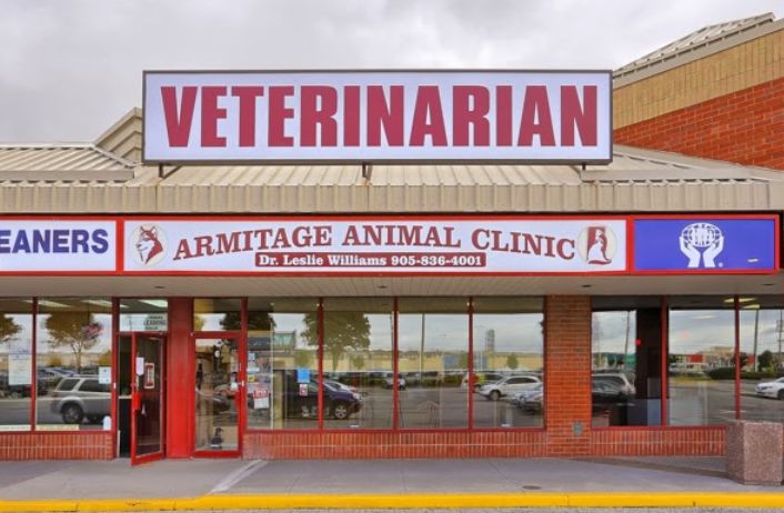 Armitage Animal Clinic wins the 2021 ThreeBestRated® award for one of the top rated Veterinary Clinics in Newmarket