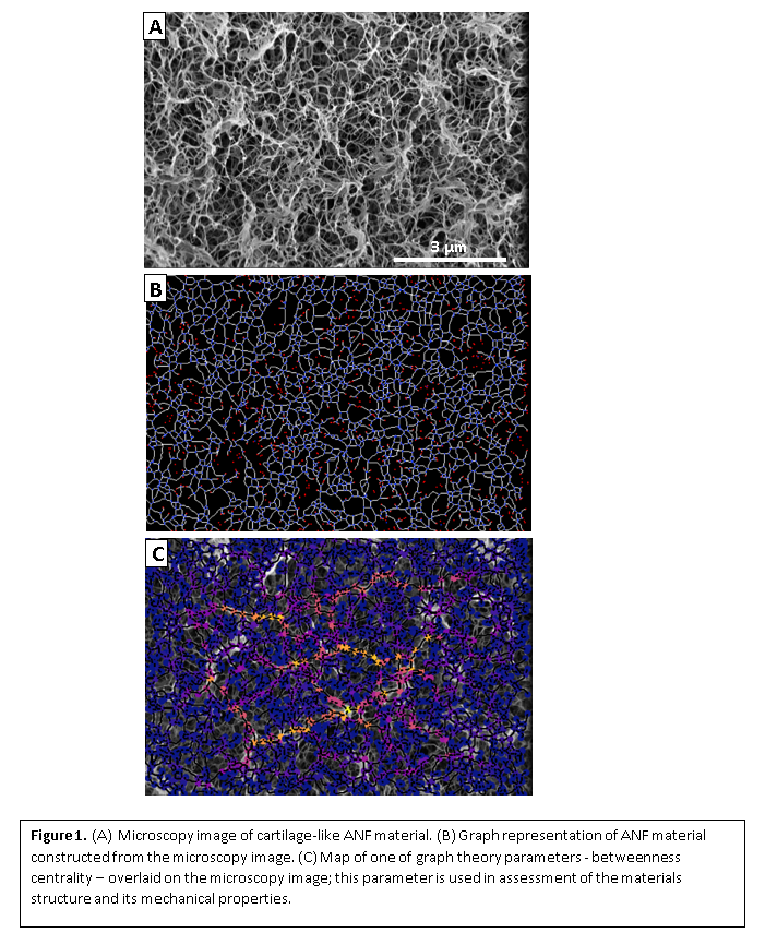 Graph Theory Simplifies The Design of Cartilage-Inspired Insulators for Bioelectronics by The Kotov LAB