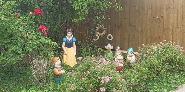 Vintage Statues of the Snow White and the Seven Dwarfs are Hanging Out at Traverse Bay Farms