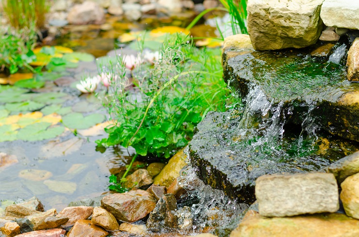 Clarity Ponds Offers To Create A One-of-a-kind Water Paradise For Homeowners In St. Louis.