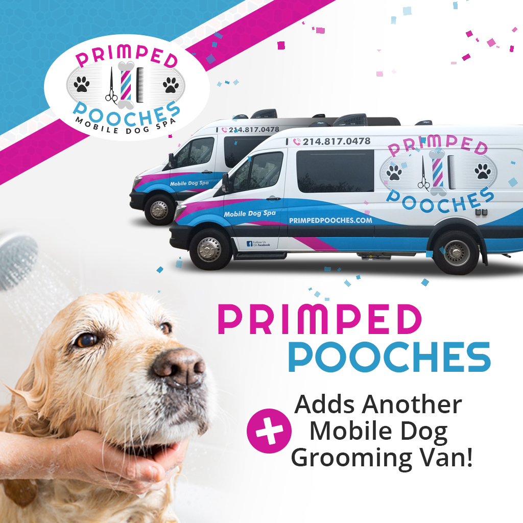 Primped Pooches Mobile Dog Spa in McKinney, Tx Is Adding Another Luxury Dog Grooming Van
