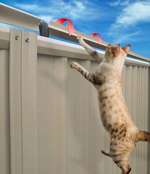 Backyard Cat Proofing Reinvented with Oscillot Cat Fence Rollers