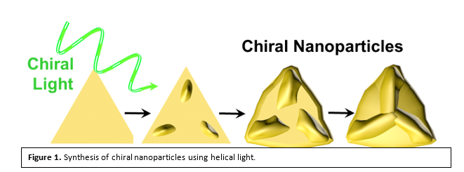 A New Study Finds that Chiral Gold Nanoparticles Enhance Immune Response