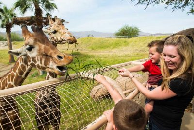 Visit Greater Palm Springs Is Now Autism Certified, Takes First Steps Toward Creating A More Accessible Destination