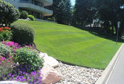 Effective weed management tips for lawn maintenance - shares Apex Lawn Services Inc., a 2022 ThreeBestRated award-winning lawn care company in Waterloo