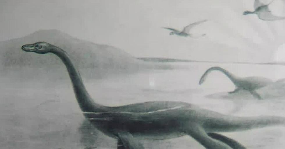 An Instant Classic: Lucy and the Lake Monster Children’s Book Series and Feature Film on Indiegogo