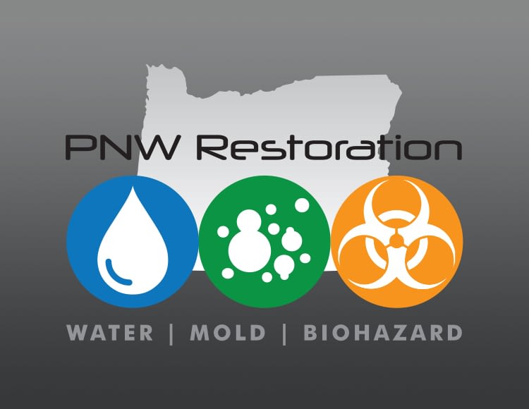 PNW Restoration is Here to Mitigate Mold Growth This Upcoming Spring