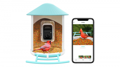 Netvue Birdfy Announced Revolutionary Birdwatching Experience for 45M Bird Lovers in the US