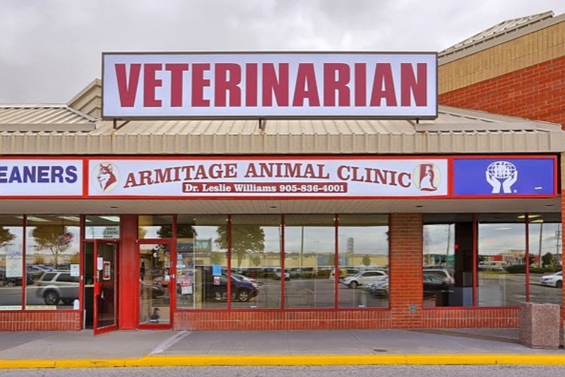 Armitage Animal Clinic, a 2022 ThreeBestRated® award-winning Veterinary Clinic from Newmarket, Ontario, shares the signs of Dermatological Issues in Pets