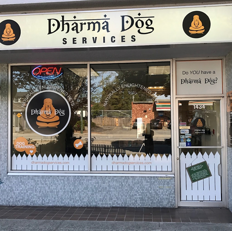 Dharma Dog Services, a 5-times ThreeBestRated® award-winning Pet Groomer from Vancouver, shares the Benefits of Professional Grooming for Dogs