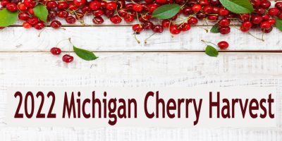 Traverse Bay Farms Ships Fresh Cherries