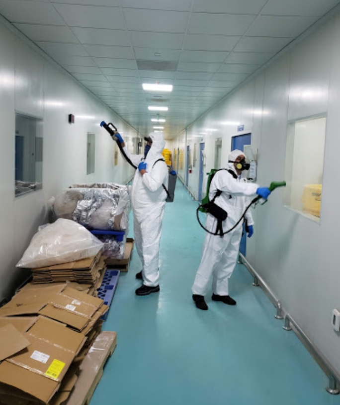 Why You Should Have Your Carpets Professionally Cleaned - Shares 5 Star Janitorial Inc, a 2022 ThreeBestRated® Award-Winning Commercial Cleaners in Ontario, California