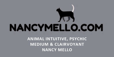 Nancy Mello logo