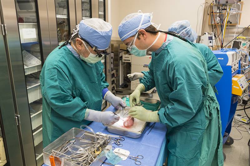 Intermountain Healthcare Launches New Platform Streamlining Organ Donor Referral Process to Save and Heal More Lives