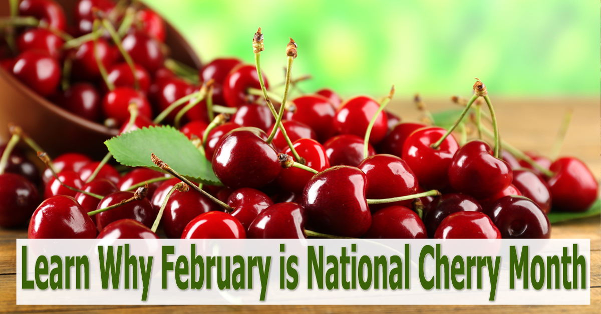 Celebrate National Cherry Month with Traverse Bay Farms