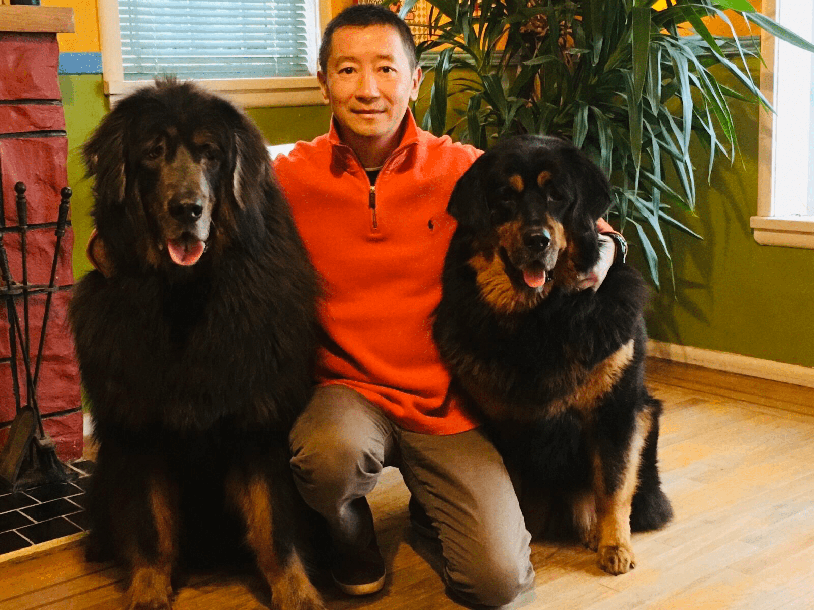 TK Canine Training Centre, A ThreeBestRated® Dog Trainer Shares Their Passion For Dog Training