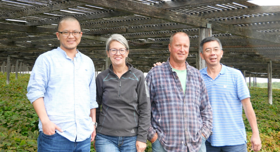 Shasta Herbs Poised to Revolutionize Holistic Health with Upcoming Online Platform