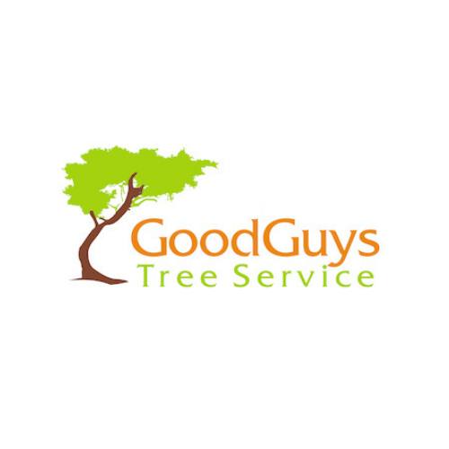 Seven Health Maintenance Tips For Trees - Explains Good Guys Tree Service, 2023 ThreeBestRated® Award Winner From Austin