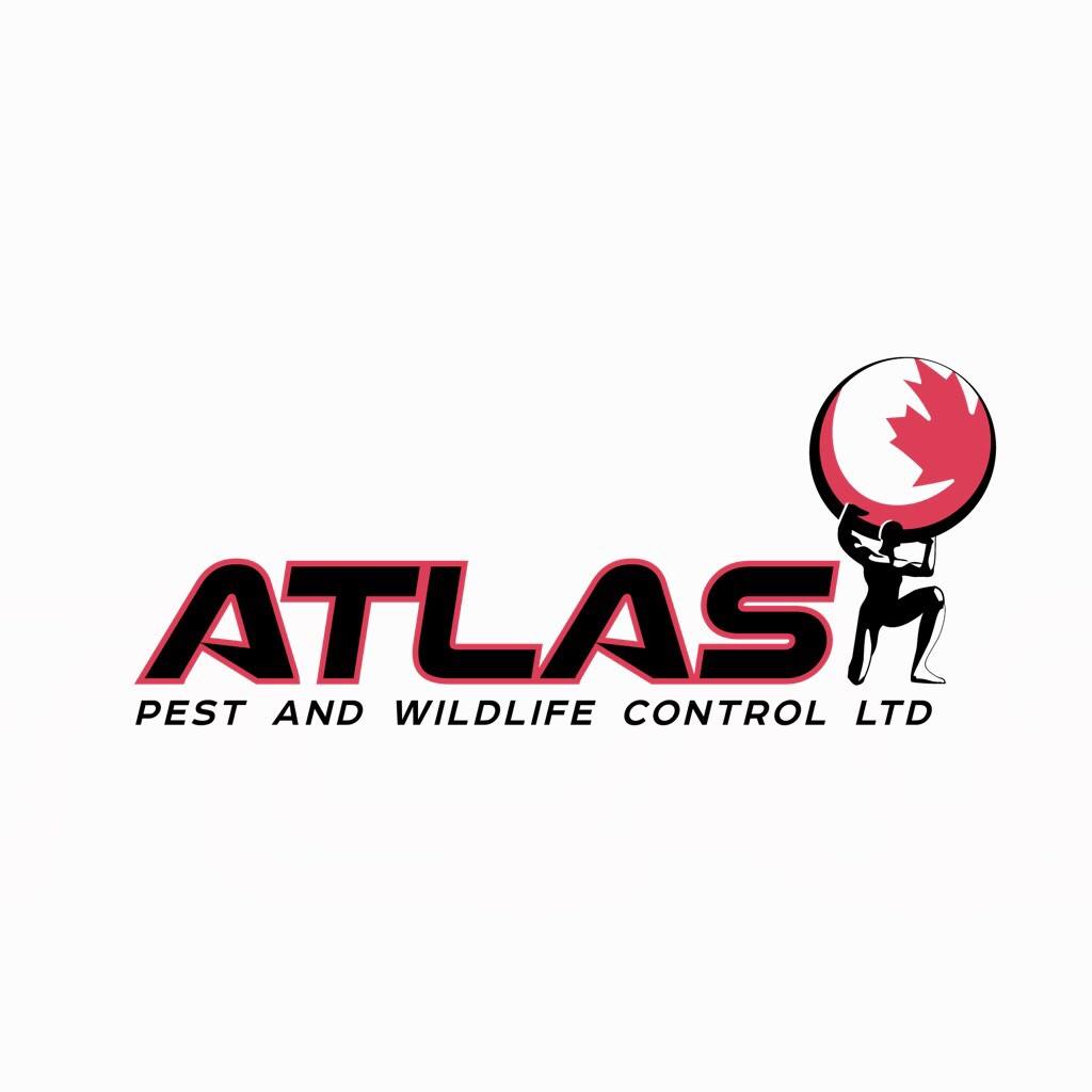 Hacks To Deal With Ants This Summer Shares 2023 ThreeBestRated® Award Winner, Atlas Pest And Wildlife Control Ltd