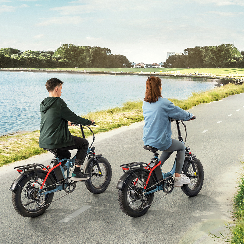 How Sophia and Dick Regain Their Freedom through the HiPEAK Folding E-bike?