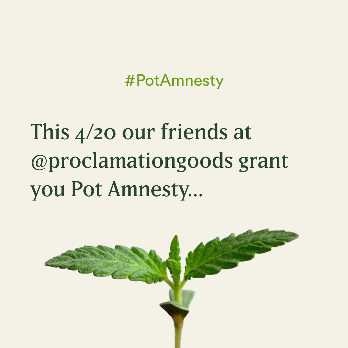 San Francisco cookware company Proclamation Goods offers a "high"-ly sustainable spin on 4/20