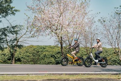 Most Beneficial Choice for Future - HiPEAK Folding Electric Bike