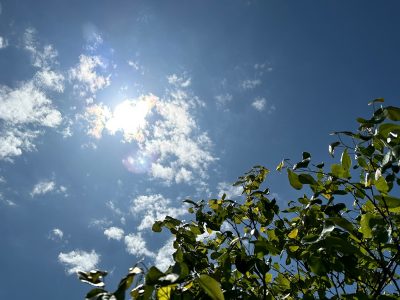 10 Things to do Prevent Skin Cancer This Summer from Intermountain Health