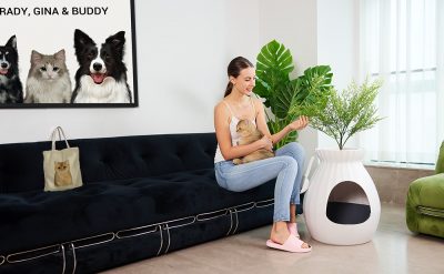Petterm Redefines Personalized Pet Products and Launches Innovating Cat Litter Box