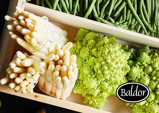 Renowned University Selects Baldor Specialty Foods as Main Produce Supplier