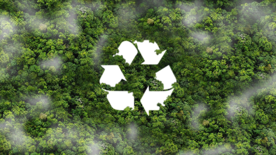 Teqtivity is Revolutionizing IT Sustainability with a Circular Economy Approach