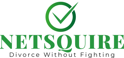 Netsquire logo