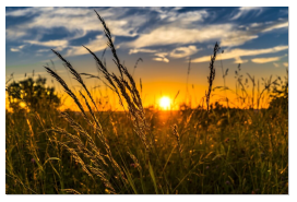 Home and Land Experts LLC Unveils Key Insights in Vacant Land Market