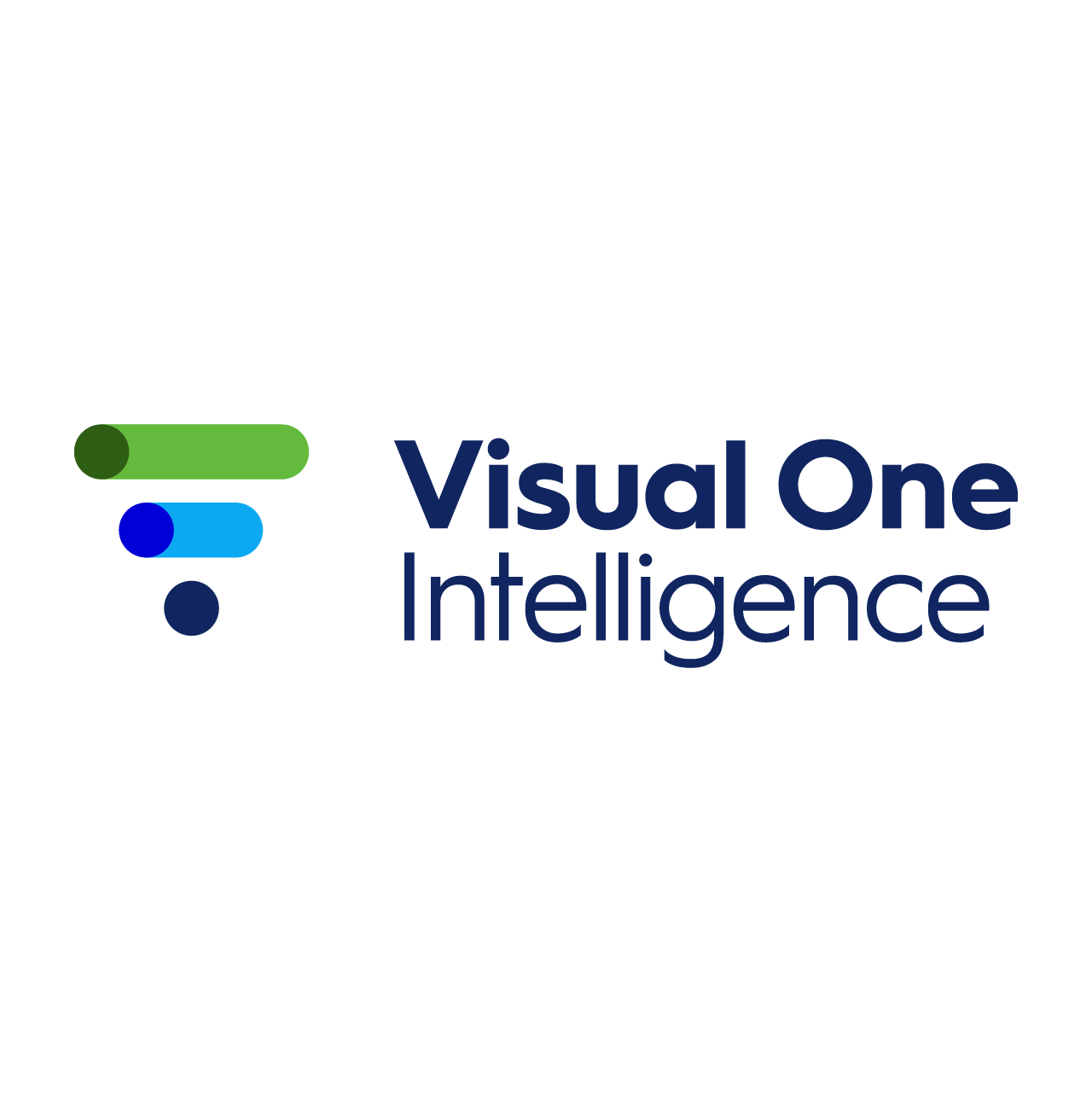 Visual One Intelligence™ logo