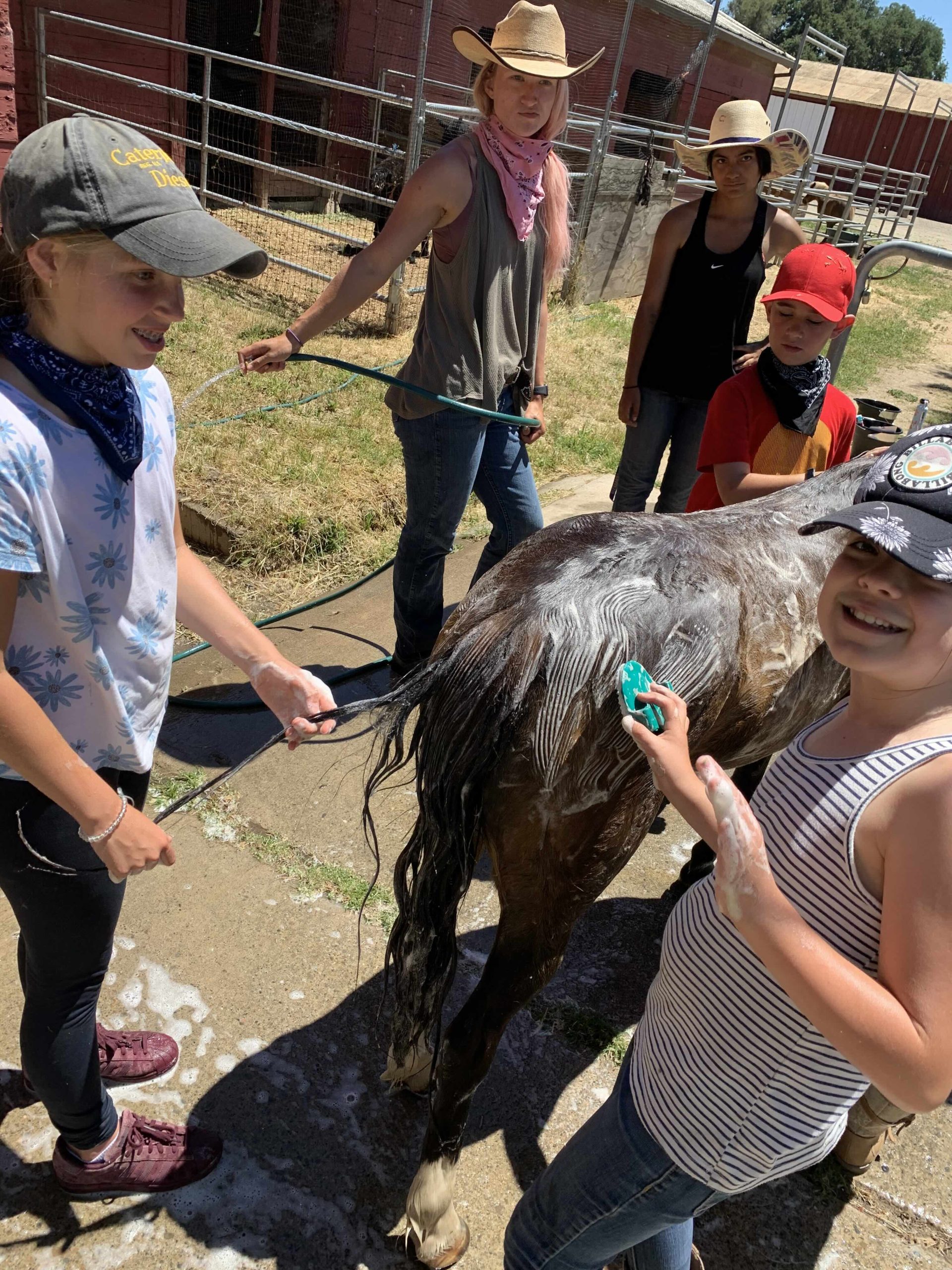 Ocean View Stables Unveils Exciting New Offerings and Kids Camp for the Summer