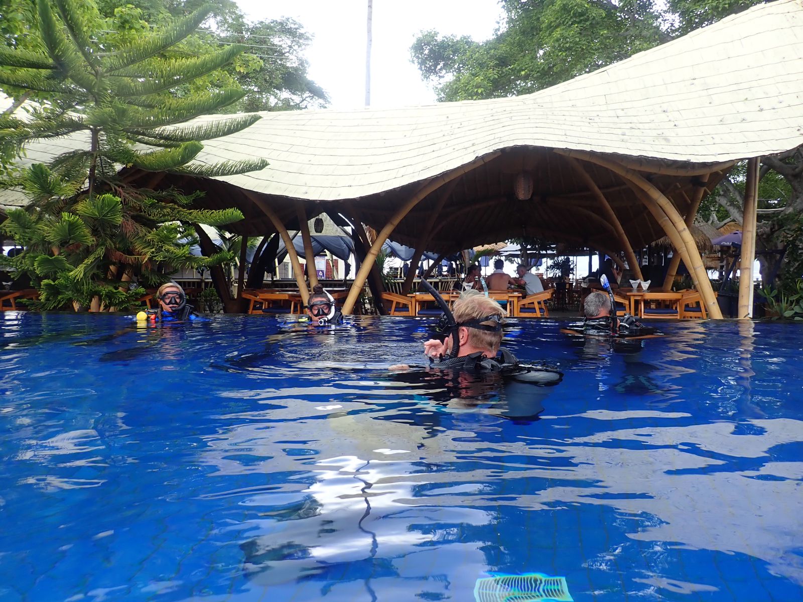 Becoming a Confident and Environmentally Aware Scuba Diving Instructor: PADI IDC Gili Islands with Course Director Sander Buis