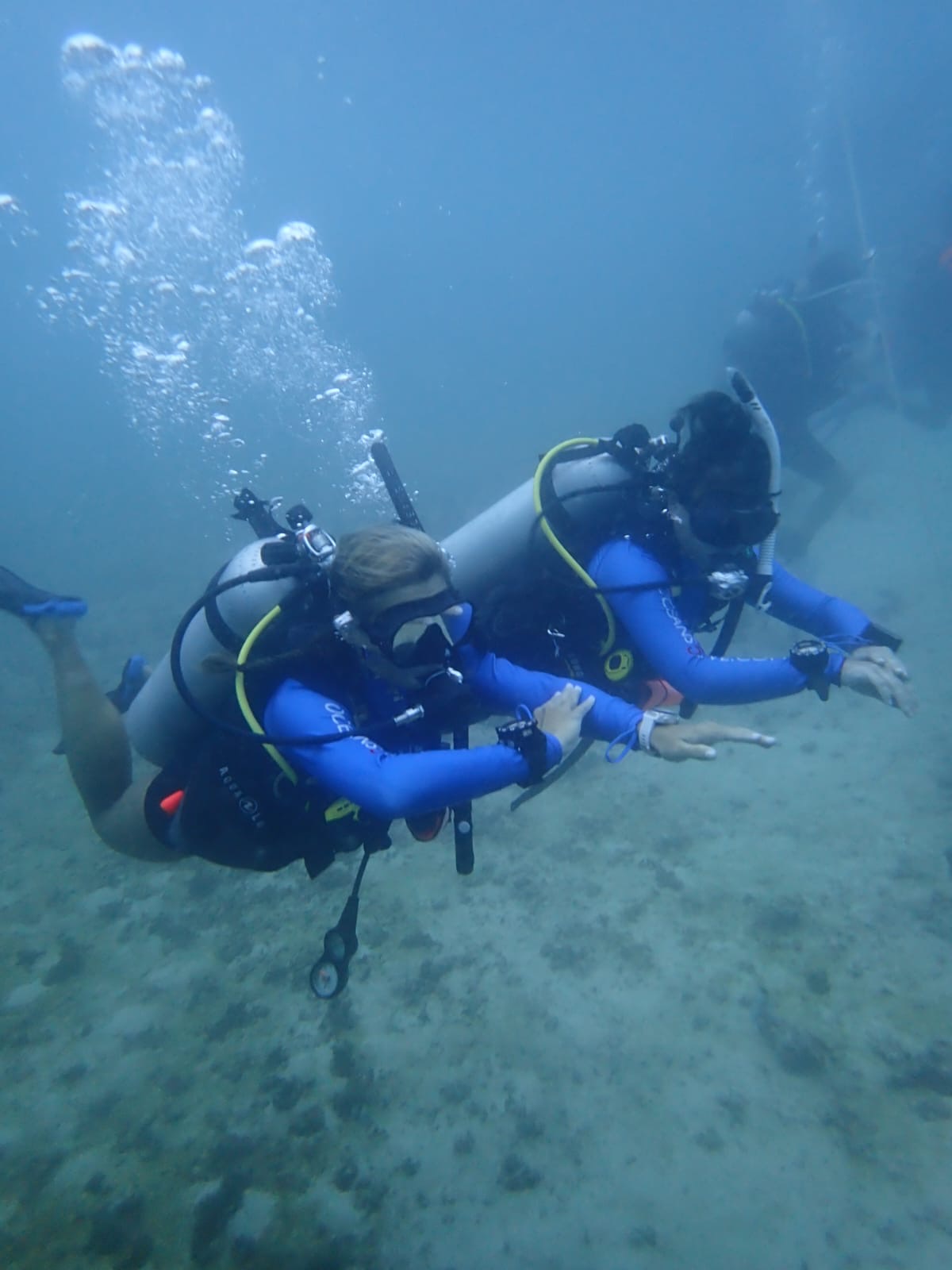 PADI IDC Gili Islands: Embracing Environmental Awareness and Innovative Teaching