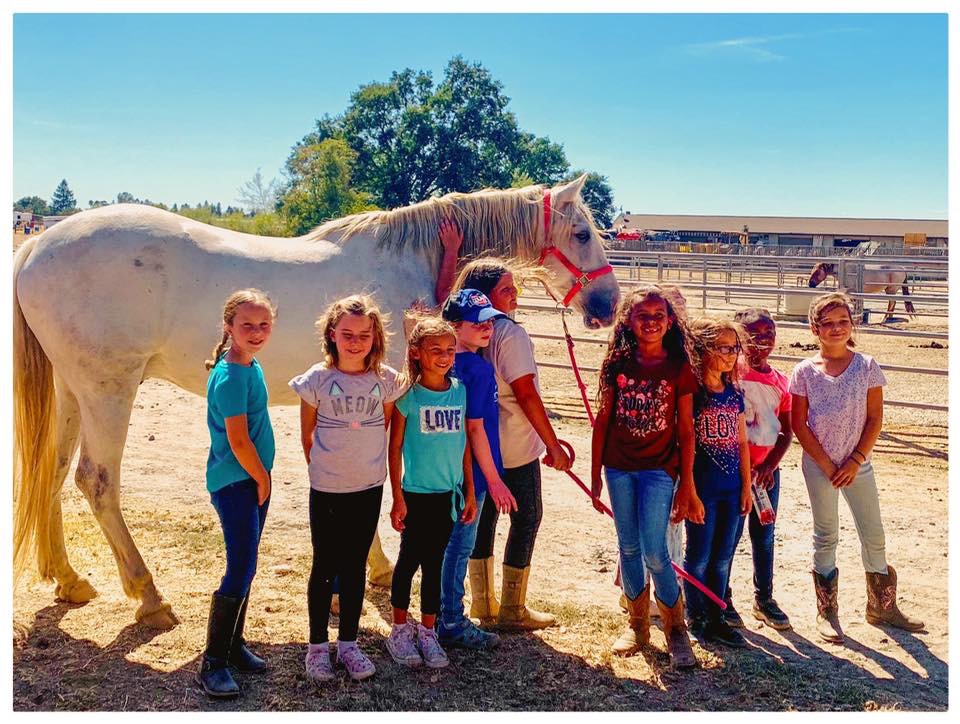 Ocean View Stables Launches Horsemanship Kids Summer Camp